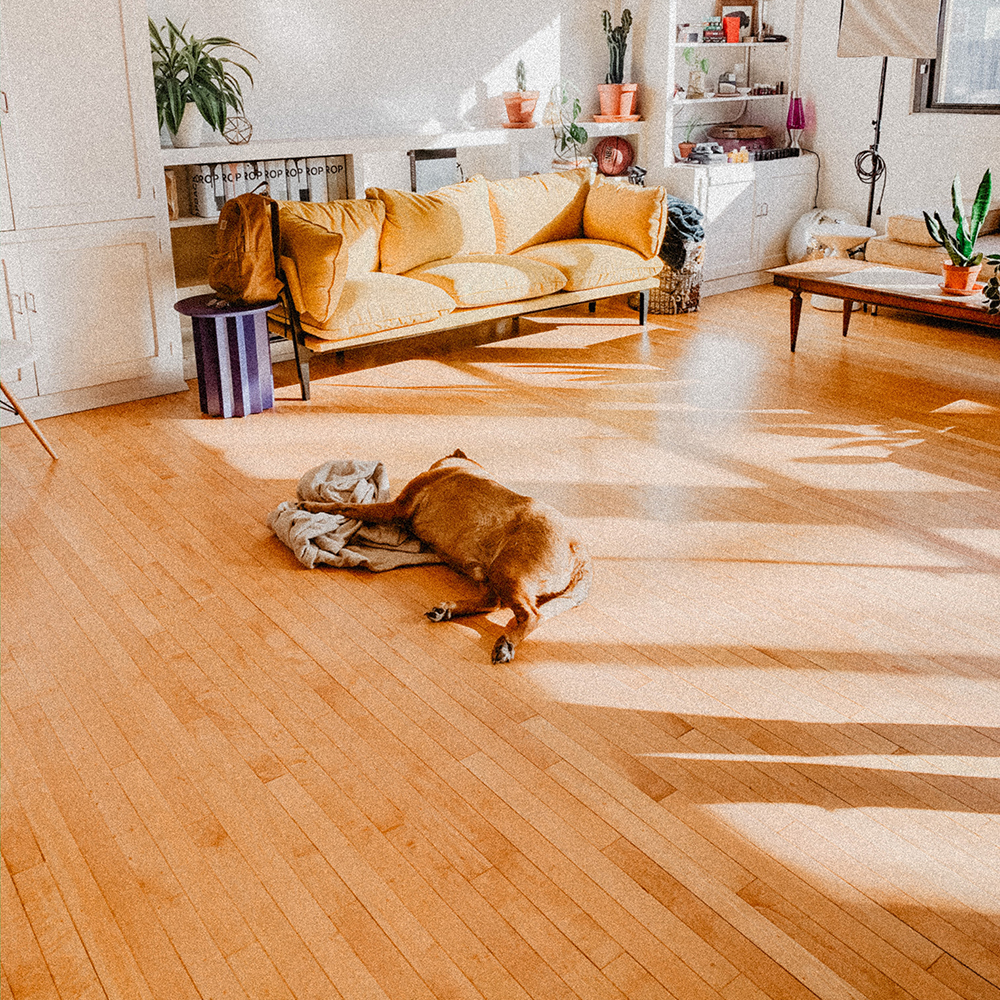 Pose de plancher